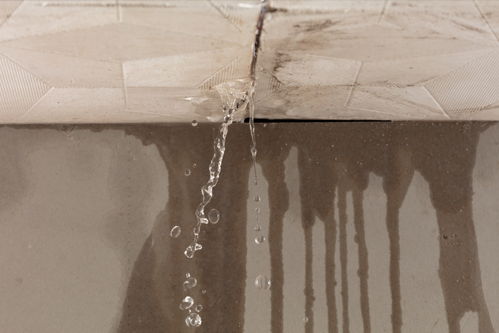 flat roof leak repair sealant​
